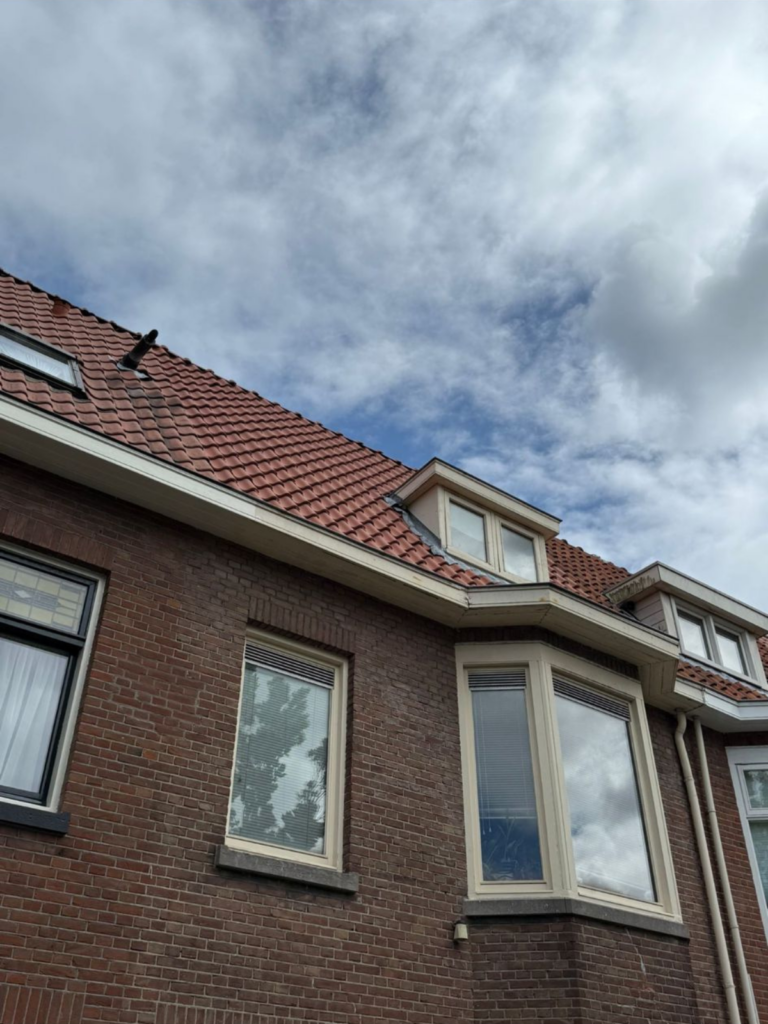 vervangen dakpannen woerden