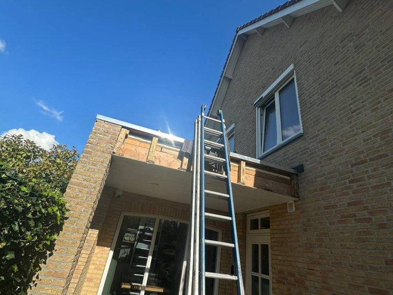Dakrenovatie in Alphen aan den Rijn door Dakdekker Specialist Woerden